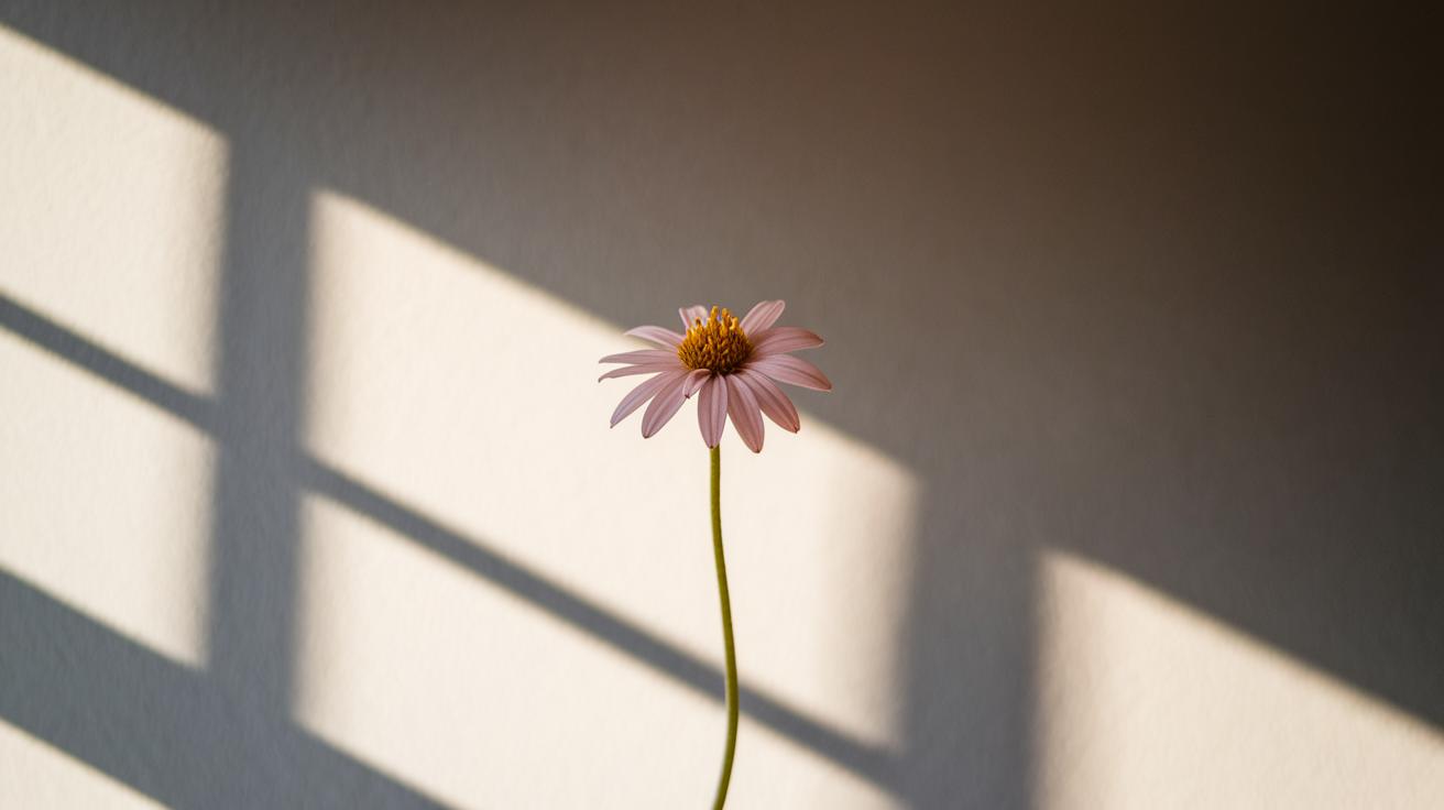 img-1.jpg